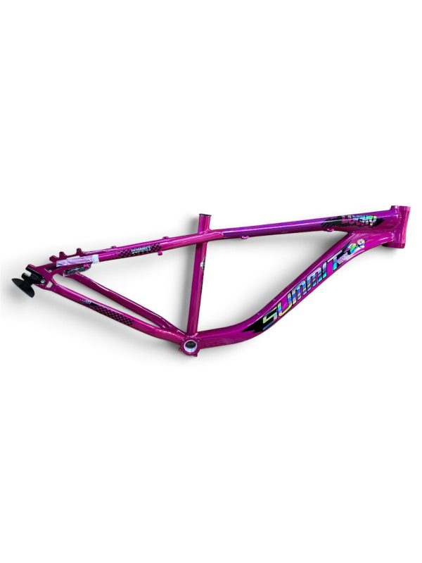 CUADRO R29¨STUNT/DIRT SUMMIT LUCKY