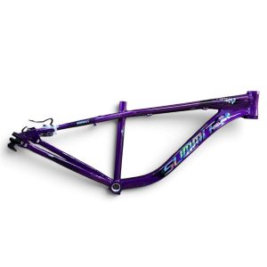 CUADRO R29¨STUNT/DIRT SUMMIT LUCKY