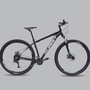 BICICLETA SUMMIT R29 ARGOS