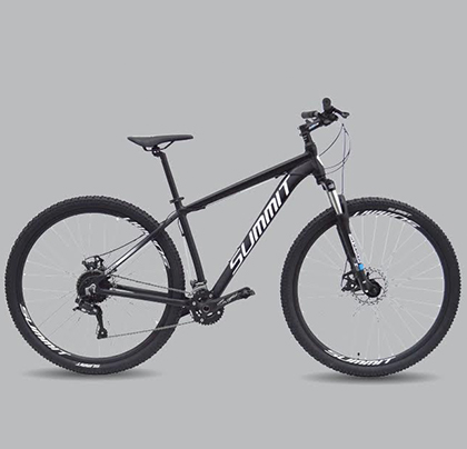 BICICLETA SUMMIT R29 ARGOS