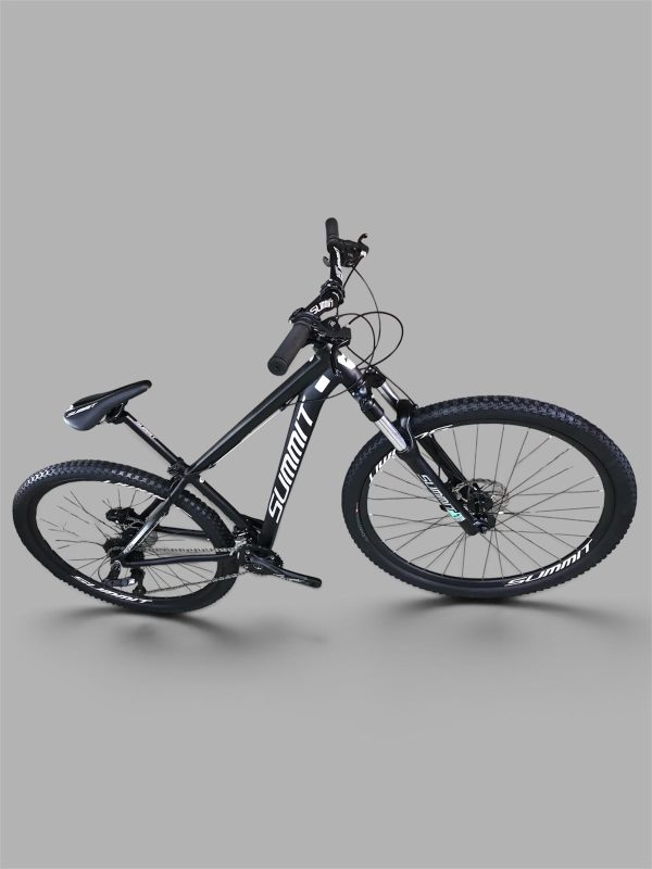 BICICLETA SUMMIT R29 ARGOS - Image 3