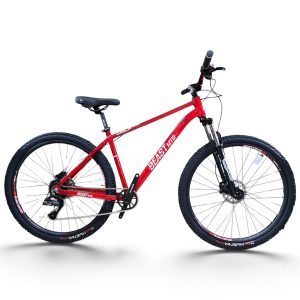 BICICLETA BEAST R29 TALLA 18